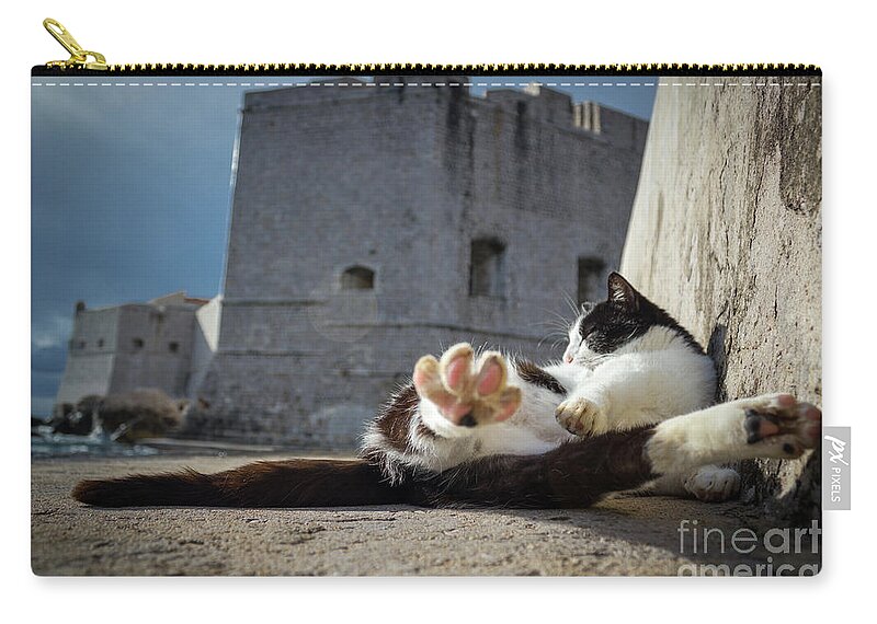 Cat Zip Pouch featuring the photograph Chill Kitty of Dubrovnik by Becqi Sherman