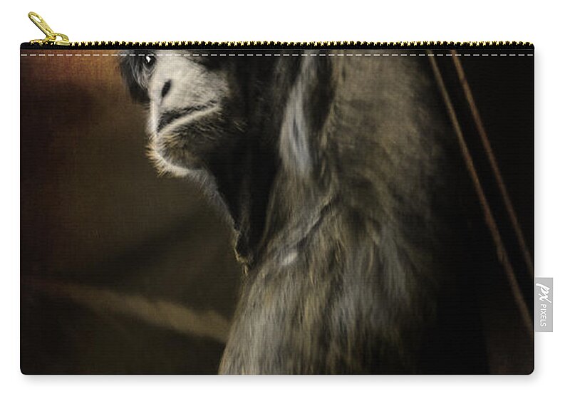 Chimp Zip Pouch featuring the photograph Chimp 1 by Susan McMenamin