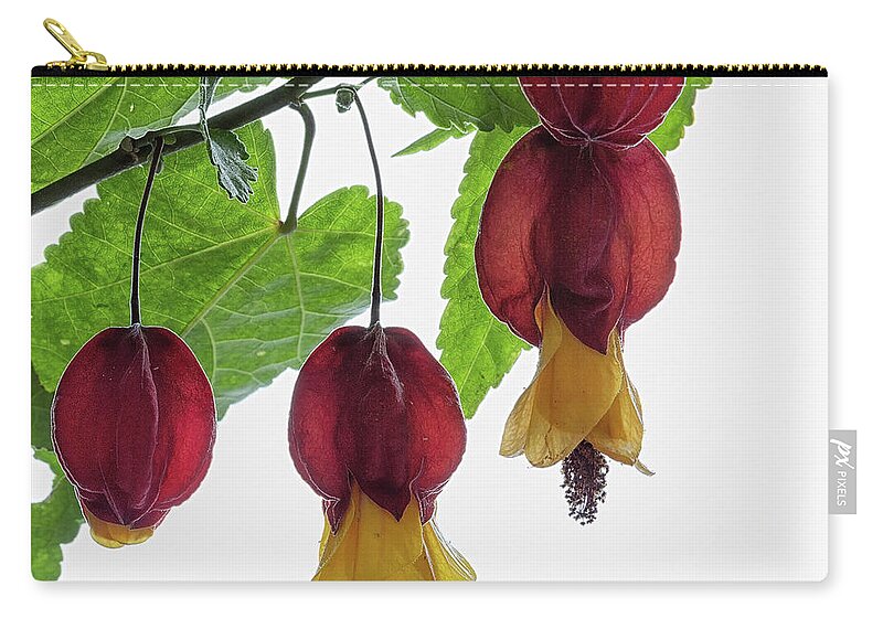 Shrub Zip Pouch featuring the photograph Chinese lantern 4 by Shirley Mitchell