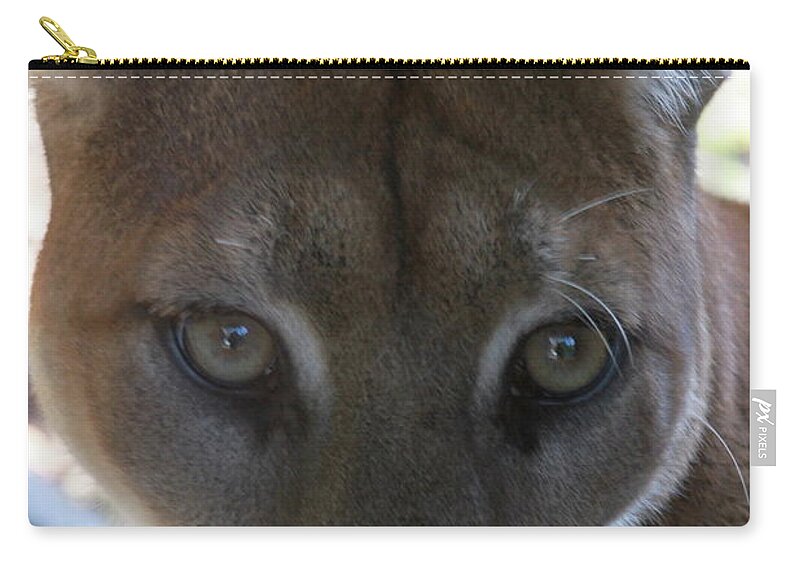 Palus Zip Pouch featuring the photograph Chinook by Laddie Halupa