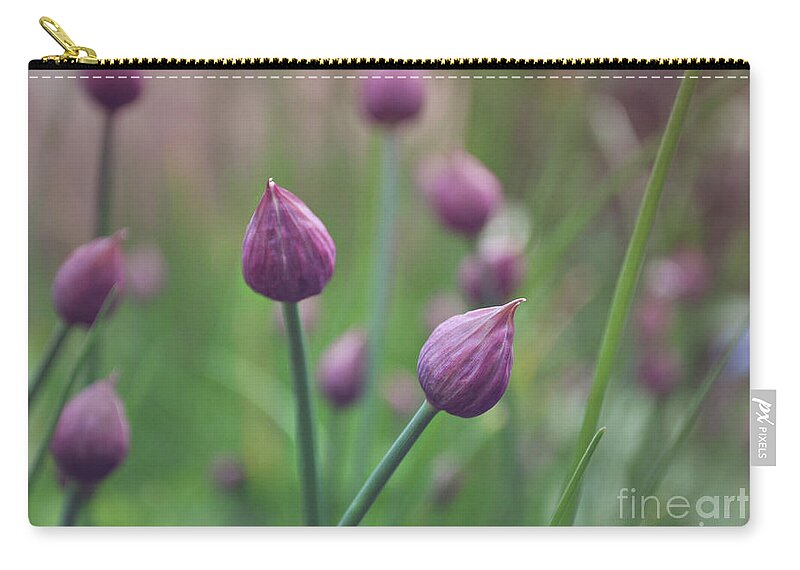 Chives Zip Pouch featuring the photograph Chives by Lyn Randle