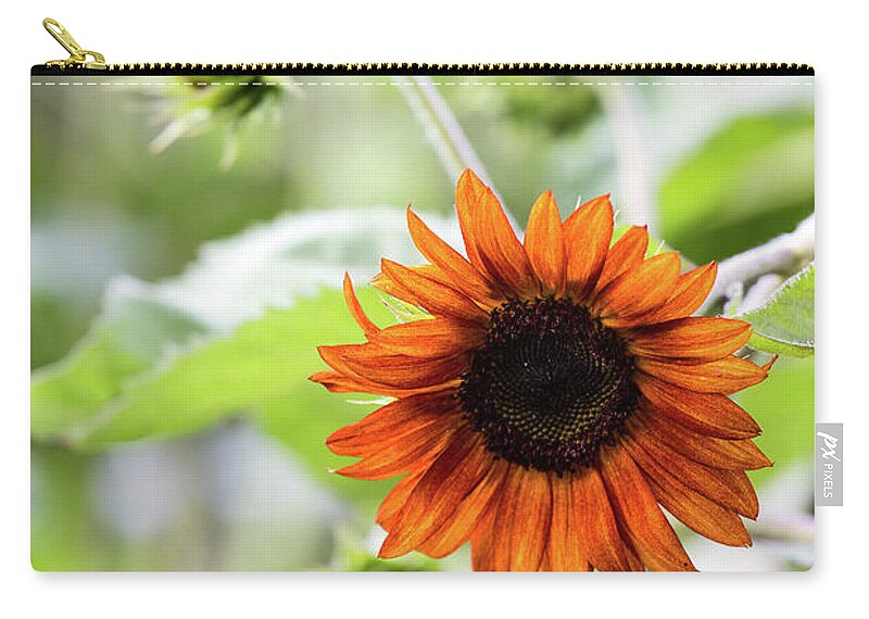 Sunflower Zip Pouch featuring the photograph Chocolate Sunflower by Charles Hite