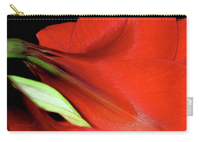 Amaryllis Zip Pouch featuring the photograph For The Love Of Red by James Temple