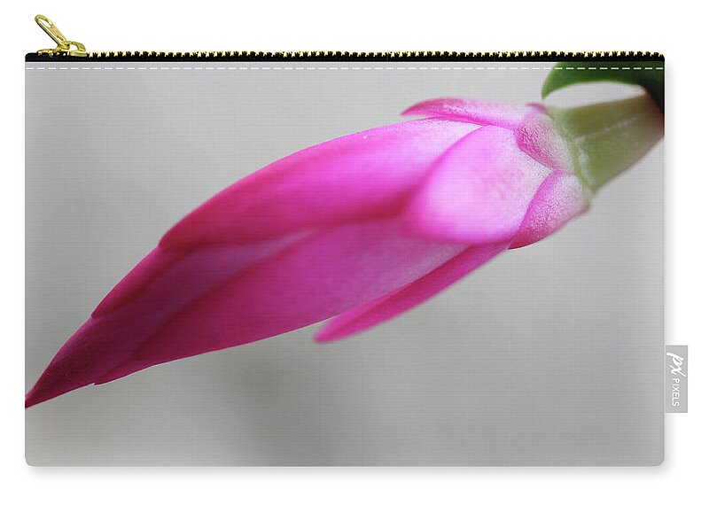 Cactus Zip Pouch featuring the photograph Christmas Cactus Bud by Mary Bedy