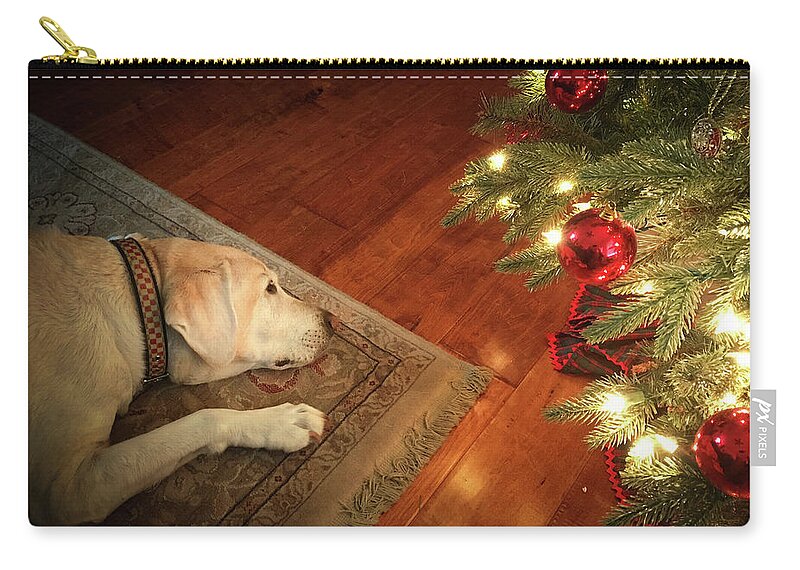 Labrador Zip Pouch featuring the photograph Christmas Dreams by Allin Sorenson