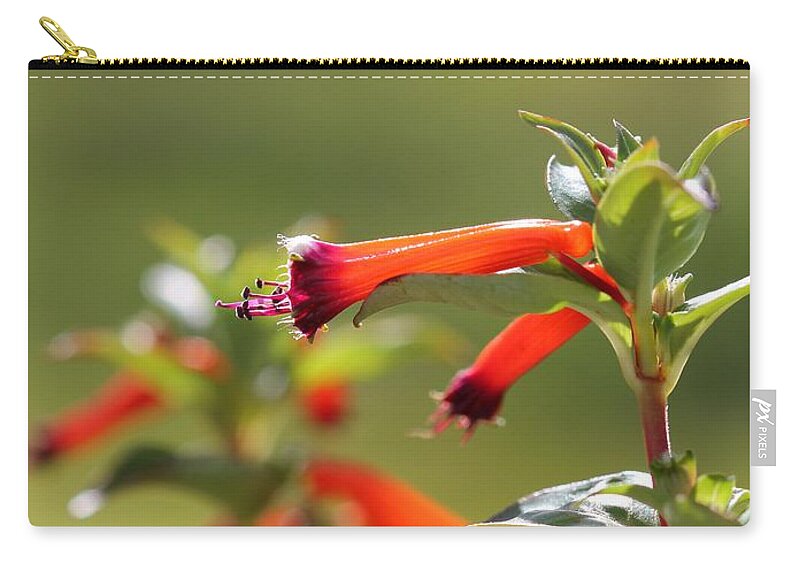 Mccombie Zip Pouch featuring the photograph Cigar Flower named Dynamite by J McCombie