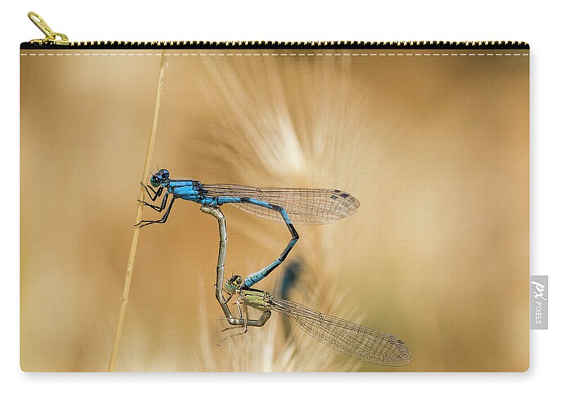 Animals Zip Pouch featuring the photograph Circle of Life by Robert Potts