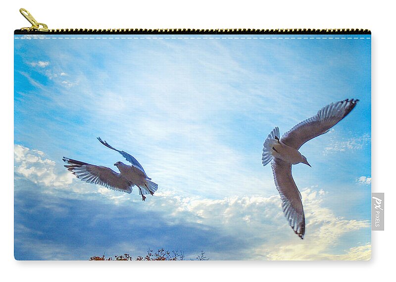 Landscapes Zip Pouch featuring the photograph Circling Wings by Glenn Feron
