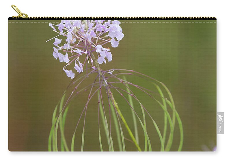 Warea Zip Pouch featuring the photograph Clasping Warea by Paul Rebmann