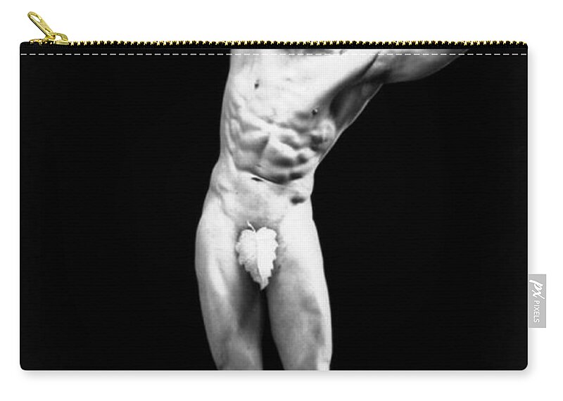 Erotica Zip Pouch featuring the photograph Classical Pose, Nude Male Model, 1893 by Science Source