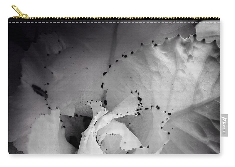 Photography Zip Pouch featuring the photograph Clearly Bloomed by Kathleen Messmer