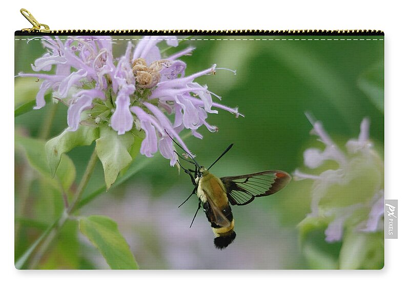 Clear Wing Moth Zip Pouch featuring the photograph Clearwing moth #1 by Peter Ponzio