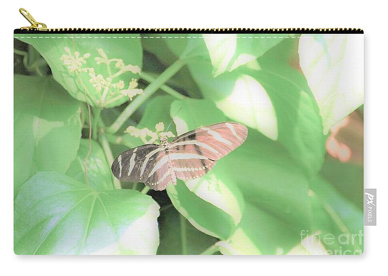 Cleveland Ohio Butterfly Carry-all Pouch featuring the photograph Cleveland Butterflies4 by Merle Grenz