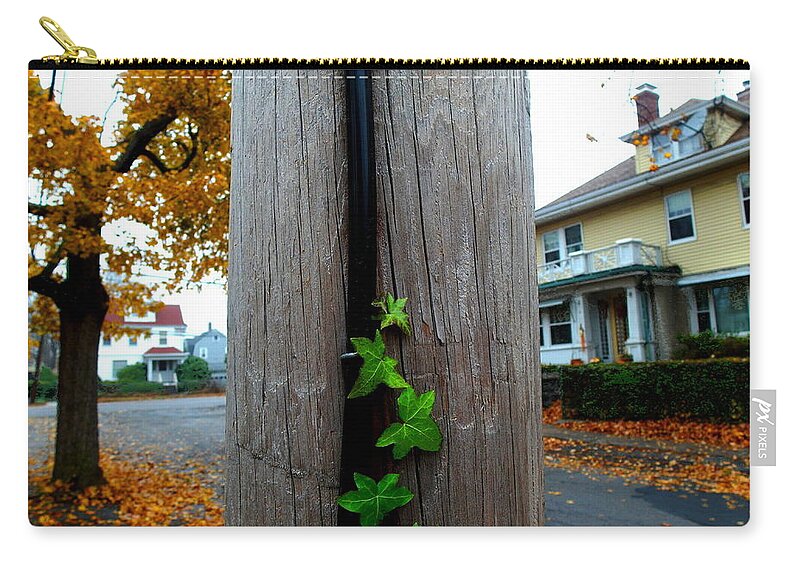 Vine Zip Pouch featuring the photograph Climbing Vine by Christopher Brown