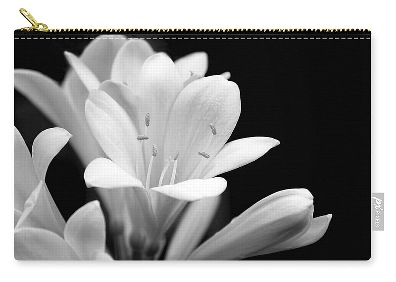 Clivia Zip Pouch featuring the photograph Clivia Flowers Black and White by Jennie Marie Schell