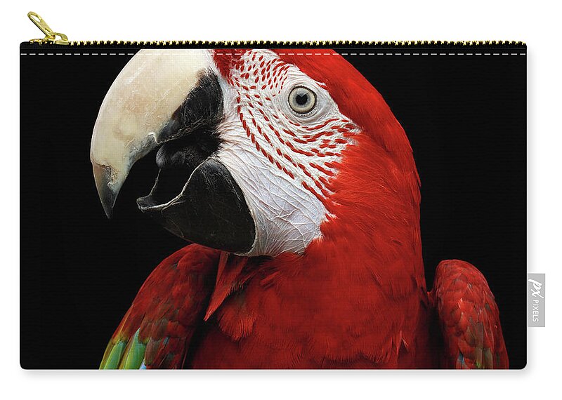 Macaw Zip Pouch featuring the photograph Green-winged macaw by Sergey Taran