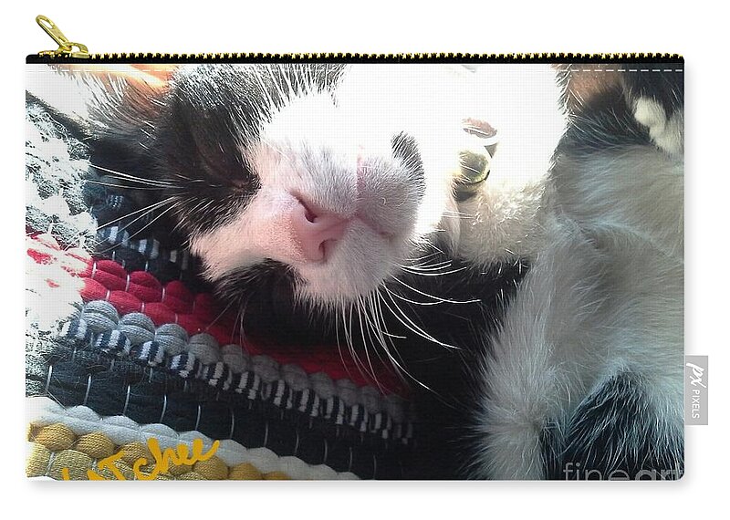 Cat Zip Pouch featuring the photograph Close Up GATchee by Sukalya Chearanantana