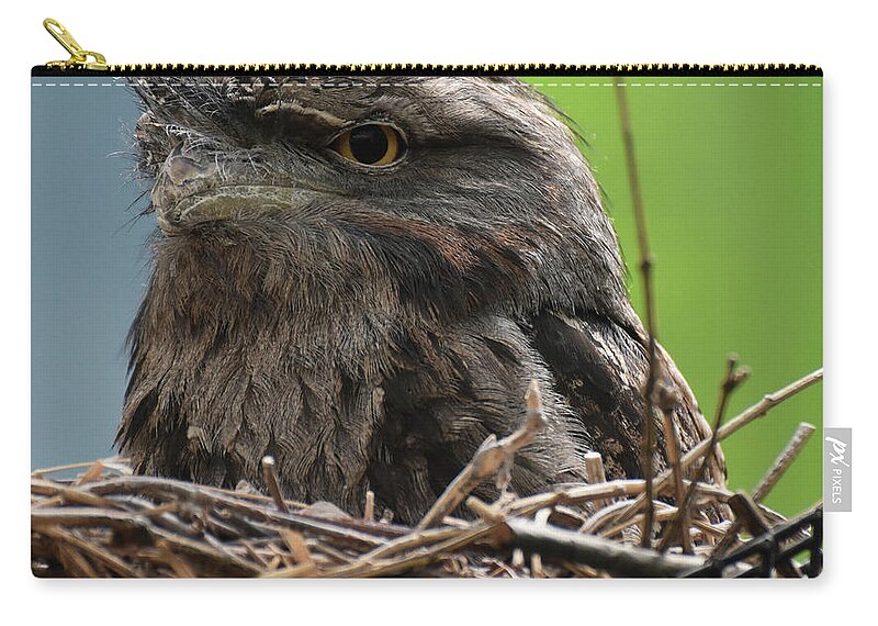 Nest Zip Pouch featuring the photograph Close Up Look at a Tawny Frogmouth Sitting in a Nest by DejaVu Designs