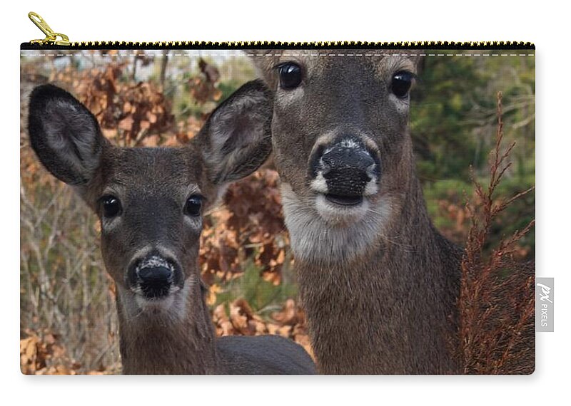 Deer Zip Pouch featuring the photograph Closeness by Bill Stephens