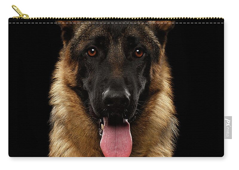 Dog Zip Pouch featuring the photograph Closeup Portrait of German Shepherd on Black by Sergey Taran