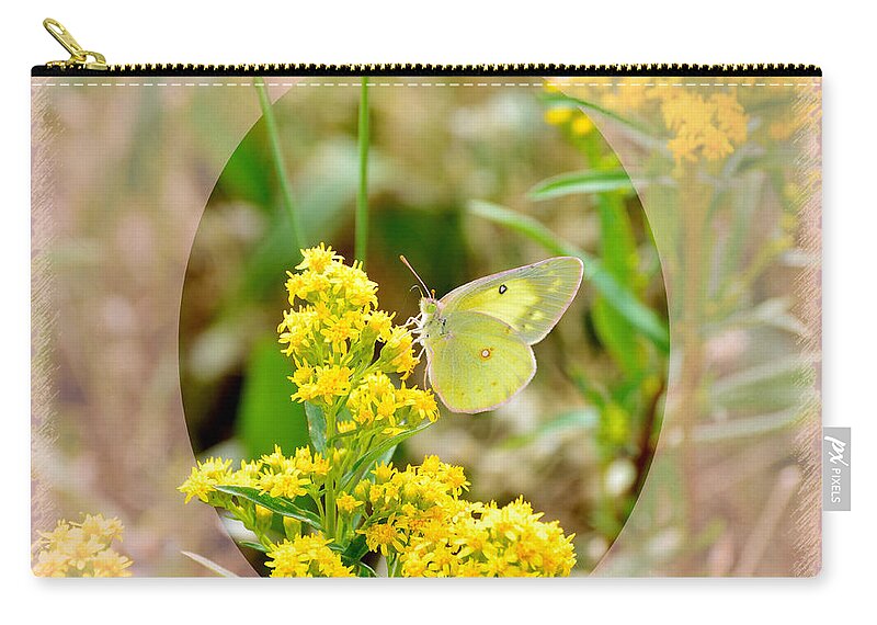 Butterfly Zip Pouch featuring the digital art Clouded Sulphur Butterfly Sipping Nectar by Kae Cheatham