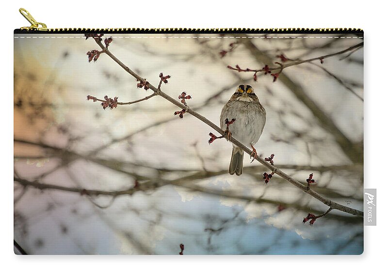 Bird Zip Pouch featuring the photograph Cloudy Finch by Trish Tritz
