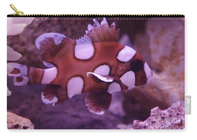 Fish Zip Pouch featuring the photograph Clown Sweetlip by Gerald Kloss