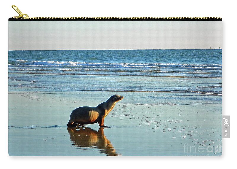 Sea Zip Pouch featuring the photograph Coastal Friends by Everette McMahan jr