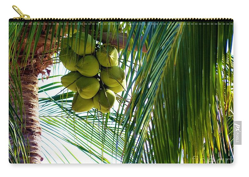 Palm Trees Zip Pouch featuring the photograph Coconuts by Rosanne Licciardi