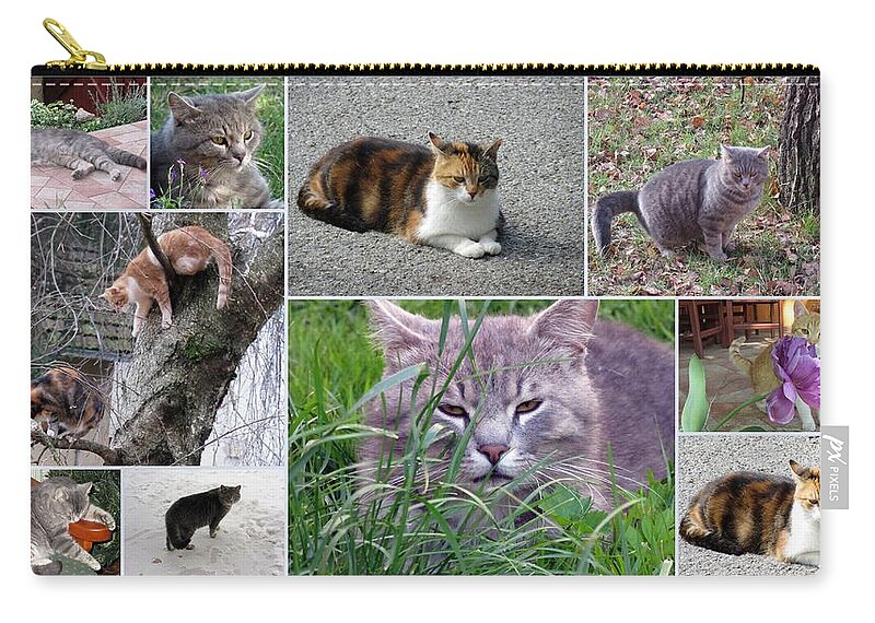 Cats Zip Pouch featuring the photograph Collage Of Photos Cats by Vesna Martinjak