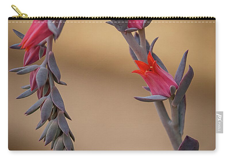 Plant Zip Pouch featuring the photograph Color and Curve by Teresa Wilson
