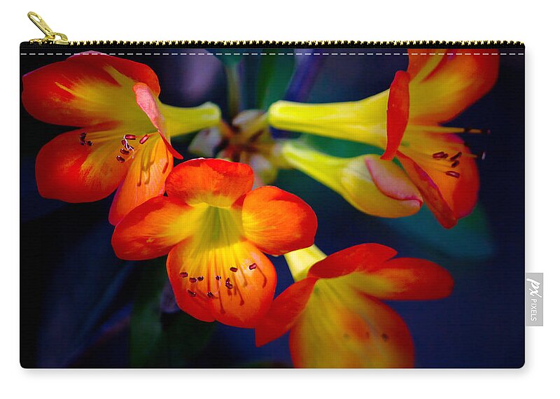 Flower Zip Pouch featuring the photograph Color Burst by Mark Andrew Thomas