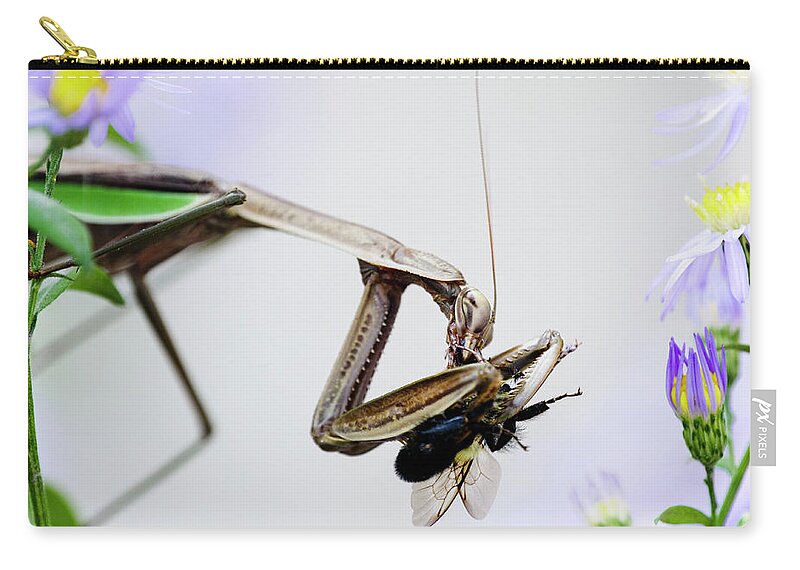 Tenodera Sinensis Zip Pouch featuring the photograph Color Mantis by Todd Bannor