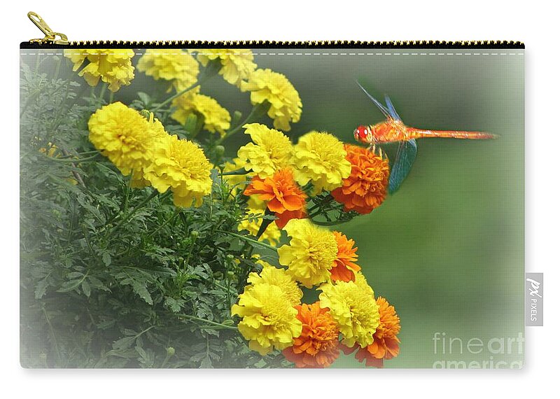 Autumn Zip Pouch featuring the photograph Color Me Autumn by Barbara S Nickerson