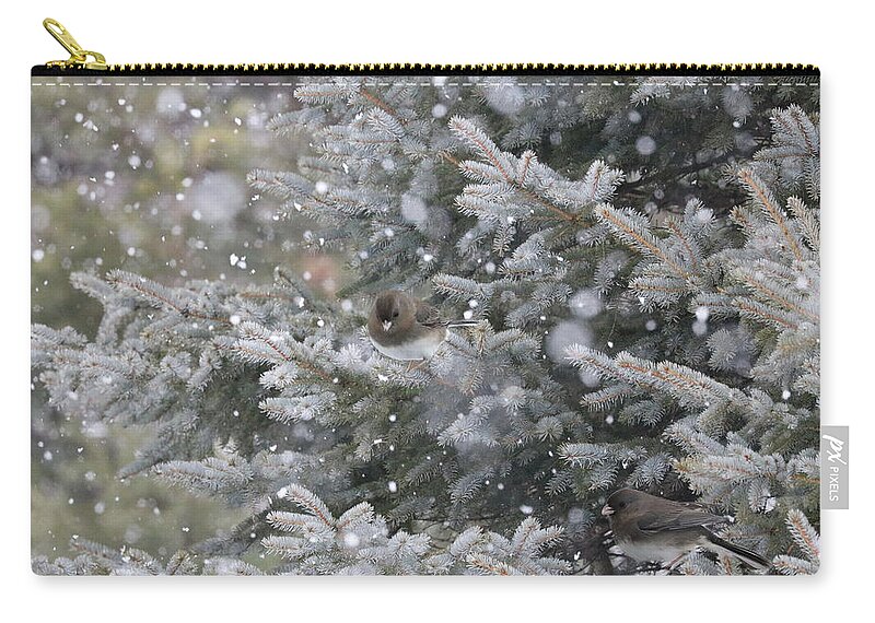 Animals Zip Pouch featuring the photograph Colorado Blue Spruce Haven by Sandra Huston