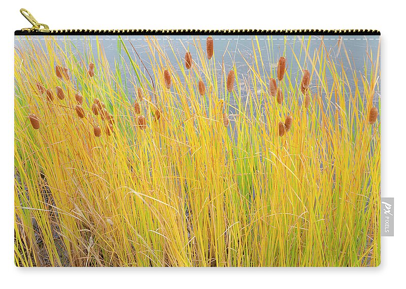 Cattails Zip Pouch featuring the photograph Colorful Autumn Cattails by James BO Insogna