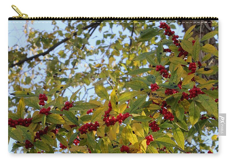 Flower Zip Pouch featuring the photograph Colorful Contrasts by Deborah Crew-Johnson