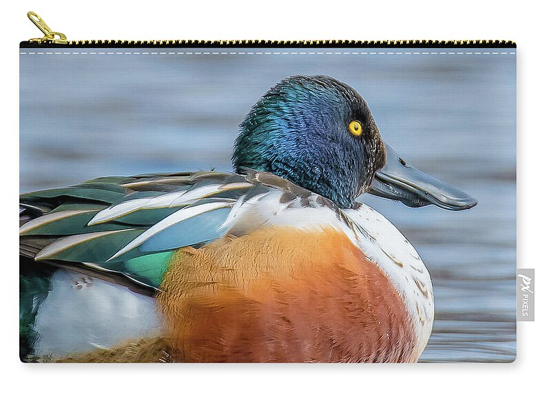 20170128 Zip Pouch featuring the photograph Colorful Male Northern Shoveler Close-Up by Jeff at JSJ Photography