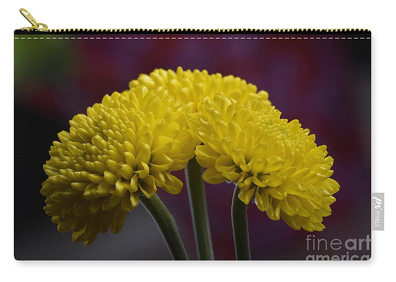 Flower Carry-all Pouch featuring the photograph Colorful triplet by Robert WK Clark