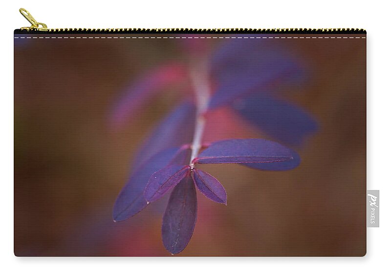 Winter Zip Pouch featuring the photograph Colors In Winter by Shane Holsclaw