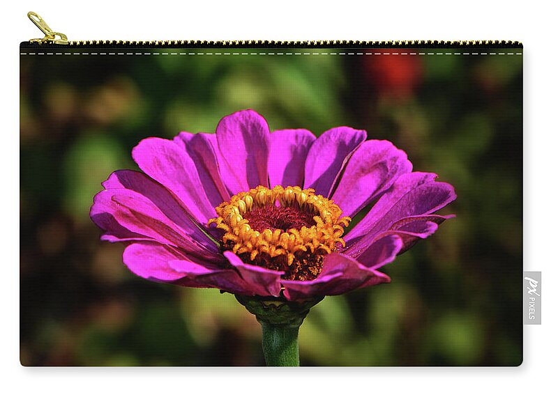Purple Zip Pouch featuring the photograph Colors Of Nature 028 by George Bostian
