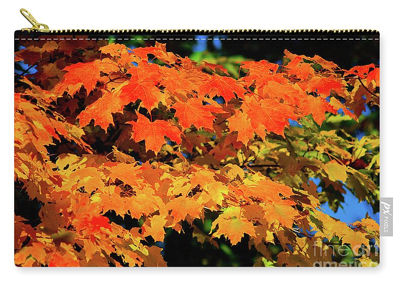 Michigan Carry-all Pouch featuring the photograph Colors of the Autumn by Rich S