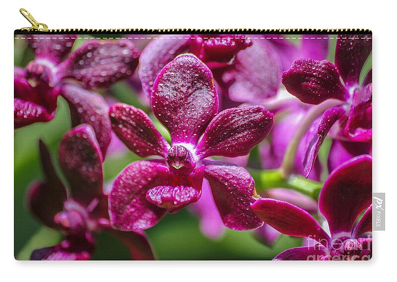 Layla Alexander Zip Pouch featuring the photograph Colourful Orchids by Layla Alexander