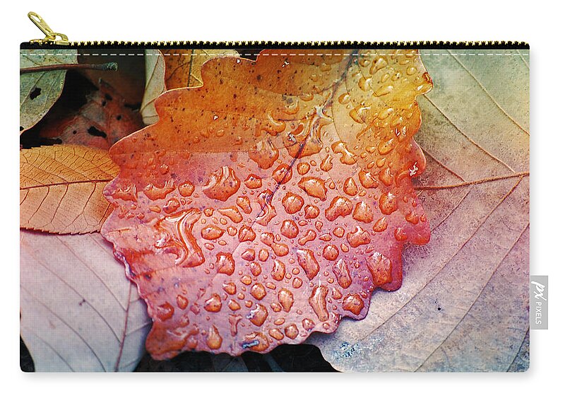 Leaves Zip Pouch featuring the photograph Colours of Fall III by Robert Meanor