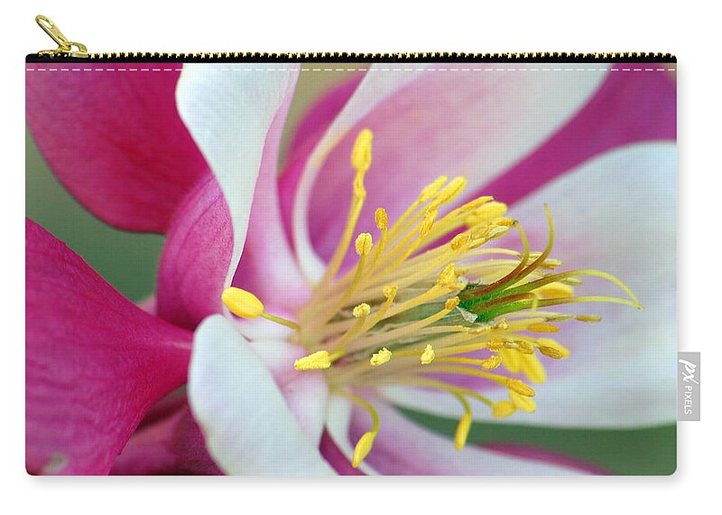 Columbine Carry-all Pouch featuring the photograph Columbine Flower 2 by Amy Fose