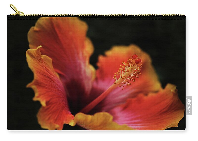 Connie Handsdcomb Zip Pouch featuring the photograph Combustion by Connie Handscomb