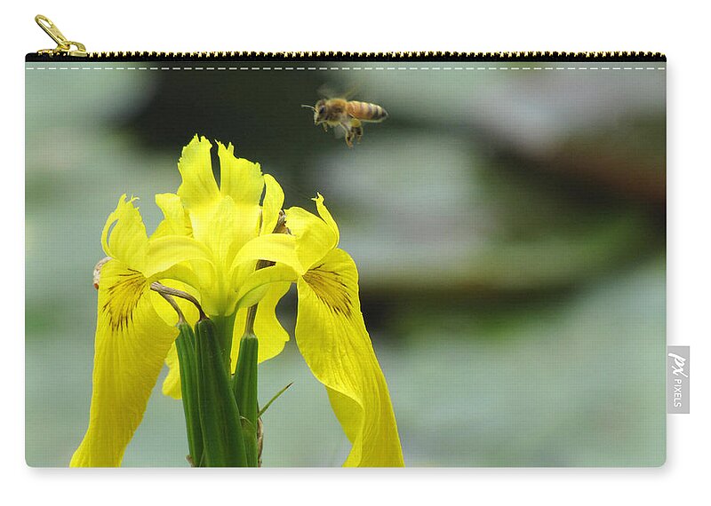 Bee Zip Pouch featuring the photograph Coming in for a Landing 2 by George Jones