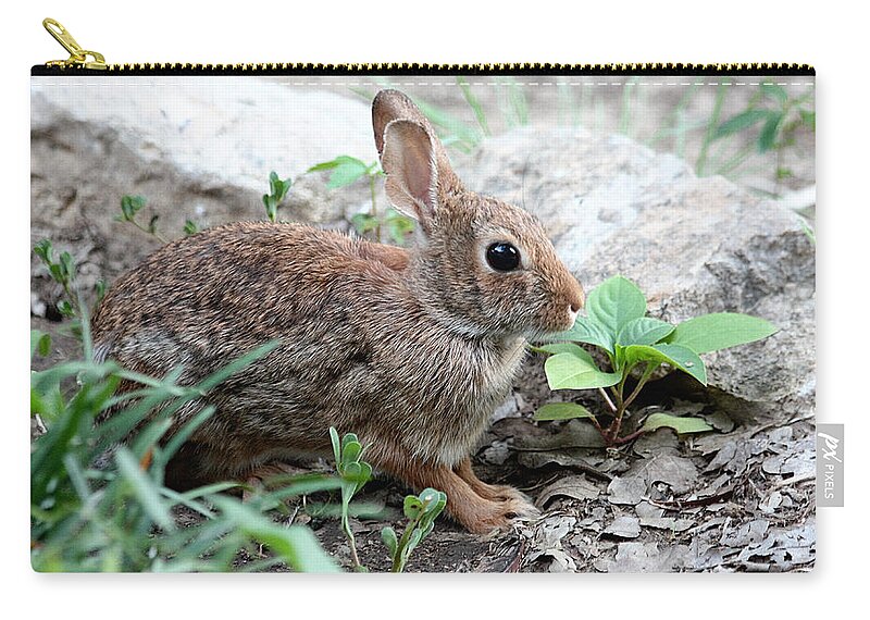 Nature Zip Pouch featuring the photograph Coming Out of Hiding by Sheila Brown