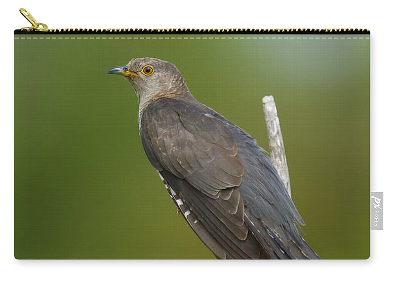 Common Cuckoo Zip Pouch featuring the photograph Common Cuckoo by Steen Drozd Lund