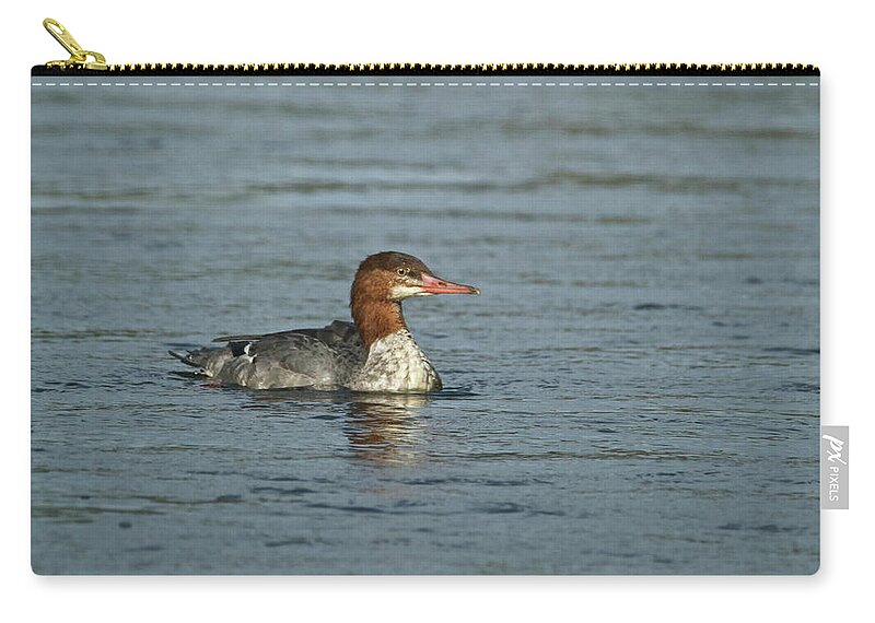 Common Zip Pouch featuring the photograph Common Merganser 9814 by Michael Peychich